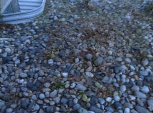 Cleanups by Mikel Burbridge for Scott B. in Castle Rock, CO