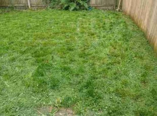 Cleanups by Kevin Philips for Allison M. in Cincinnati, OH