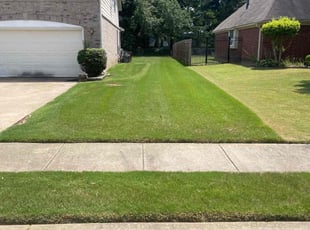 Debra B.'s Yard Cutting service result