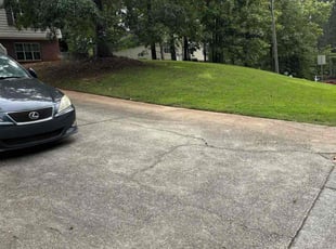 Dave S.'s Lawn Maintenance service result