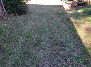 Leaf Removal by James Neely for David H. in Charlotte, NC