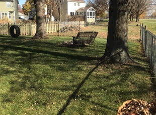 Cleanups by Jose Sanchez for Tracy T. in Sugar Grove, IL