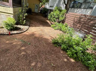 Leaf Removal by Dontrey Chambers for Nandhini R. in Austin, TX