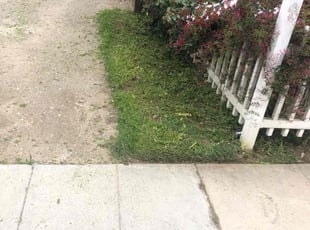 Michael F.'s Yard Cutting service result