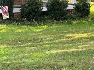 Bush Trimming by Jeff Miller for Clifford A. in Chesterfield, VA