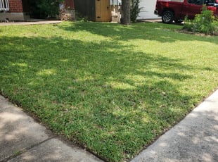 dan g.'s Lawn Service service result
