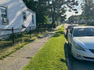 Sade P.'s Yard Cutting service result