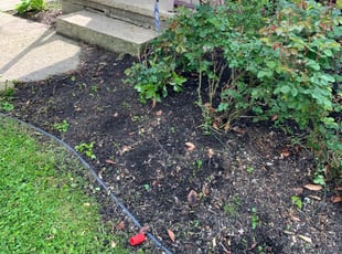 Weeding by Dustin Jones for Jessica S. in Columbus, OH