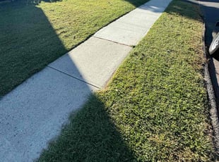 Angela G.'s Lawn Service service result