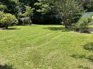 James524369000097 W.'s Lawn Care service result