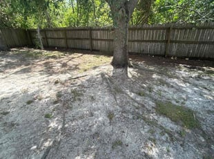 Leaf Removal by Ramon Taguja for Jacob R. in Riverview, FL