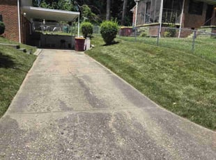 Ricky P.'s Lawn Mowing Service service result