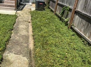 Nancy F.'s Lawn Maintenance service result