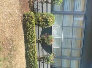 Bush Trimming by Ricardo Lobatos Vega for Vernetta M. in Portland, OR