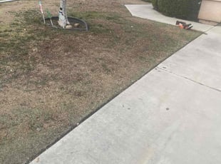 Bush Trimming by Guillermo Rodriguez for ALge M. in Bakersfield, CA
