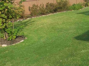 Treona S.'s Lawn Service service result
