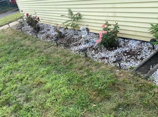 Weeding by Jason Pacheco for Jessica B. in Springfield, MA