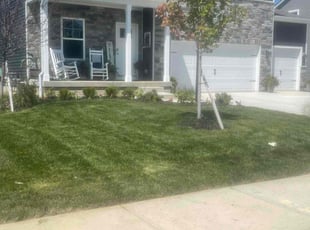 Carolyn B.'s Lawn Mowing Service service result
