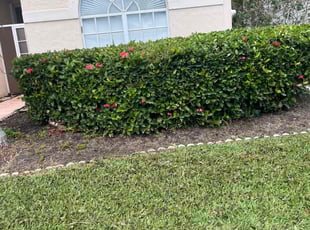 Bush Trimming by Charles Walton for Zan R. in Boynton Beach, FL