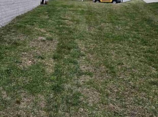 Cleanups by Edinson Rivas for Carlos Z. in Fredericksburg, VA