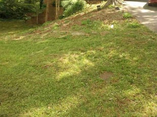 Cleanups by Montgomery Roberts for Melinda c. in Roswell, GA
