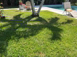 Valerie S.'s Lawn Service service result