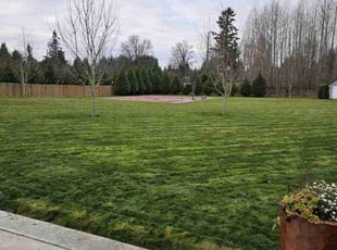 Kathy P.'s Lawn Care service result