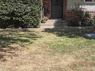 Bush Trimming by Martin Marquez for Janice D. in Modesto, CA