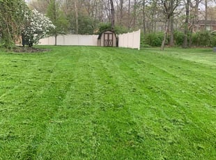 Joan R.'s Lawn Care service result