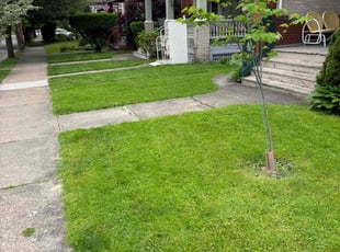 Alyssa P.'s Lawn Mowing service result