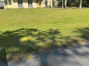 Leaf Removal by Henry Arkwright for Angelisa S. in Savannah, GA