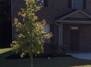 Mulching by Danmario Smith for Anisha S. in Jonesboro, GA