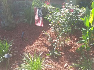 Landscaping by Jeryl Scott for Kyle W. in Tallahassee, FL