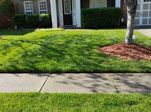 Kenna B.'s Lawn Mowing Service service result