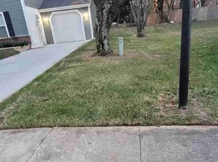 Leaf Removal by Jose Gonzalez for Isaiah J. in Fort Washington, MD