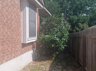 Bush Trimming by Erik de JesΓΊs Prado Sanchez for Stephanie K. in Round Rock, TX
