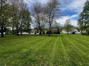 Tammy S.'s Grass Cutting service result