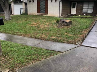 Cleanups by Chaes Pate for Sarah J. in San Antonio, TX