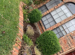 Weeding by Maison Henry for Nicole B. in Lewisville, TX