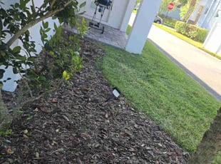 Weeding by Elvis Pintado for Aida H. in Odessa, FL
