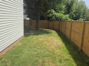 Tim B.'s Lawn Mowing Service service result