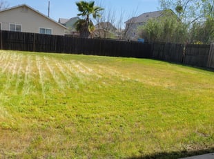 Cleanups by Joshua Muehe for Charlotte M. in Sacramento, CA