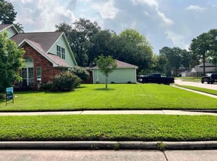 Michelle M.'s Lawn Service service result