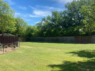 Martin M.'s Yard Cutting service result