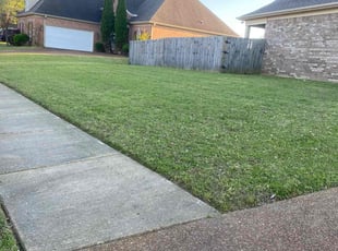 Sue D.'s Lawn Maintenance service result