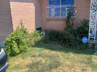 Bush Trimming by Londre Carter for Charles H. in Fort Worth, TX