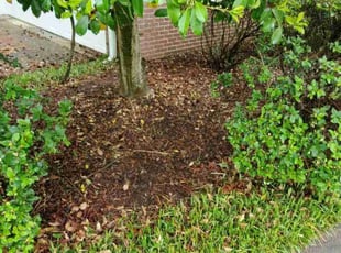 Weeding by James Ziobro for Rukmini M. in Cary, NC