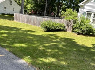 Lorraine S.'s Lawn Service service result