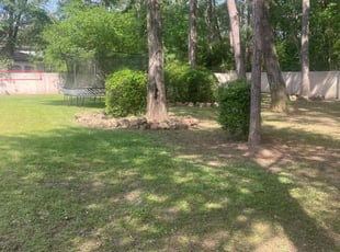 Bush Trimming by Warren Carter for Barry V. in Porter, TX