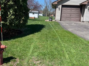 Clare L.'s Lawn Care service result